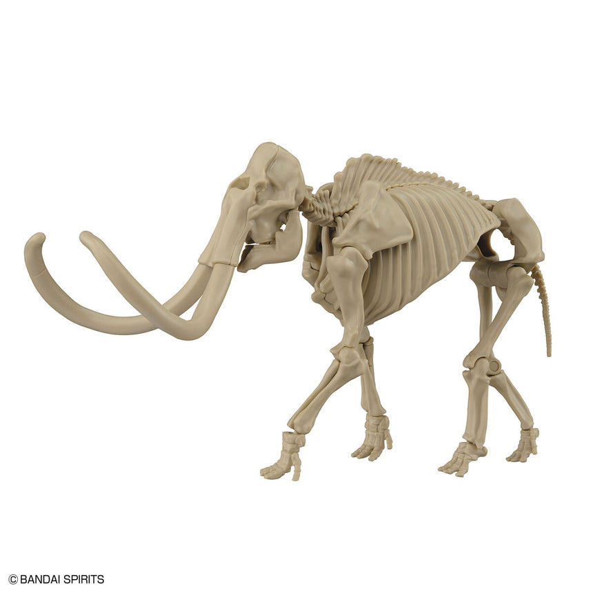 Exploring Lab Nature Mammoth-3