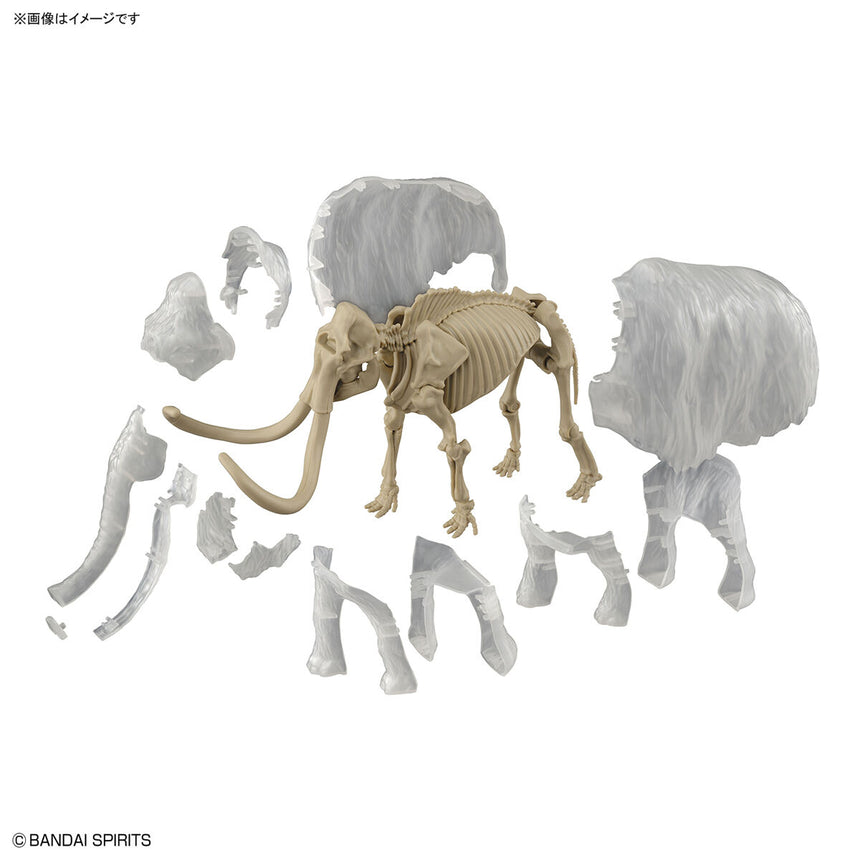 Exploring Lab Nature Mammoth-10
