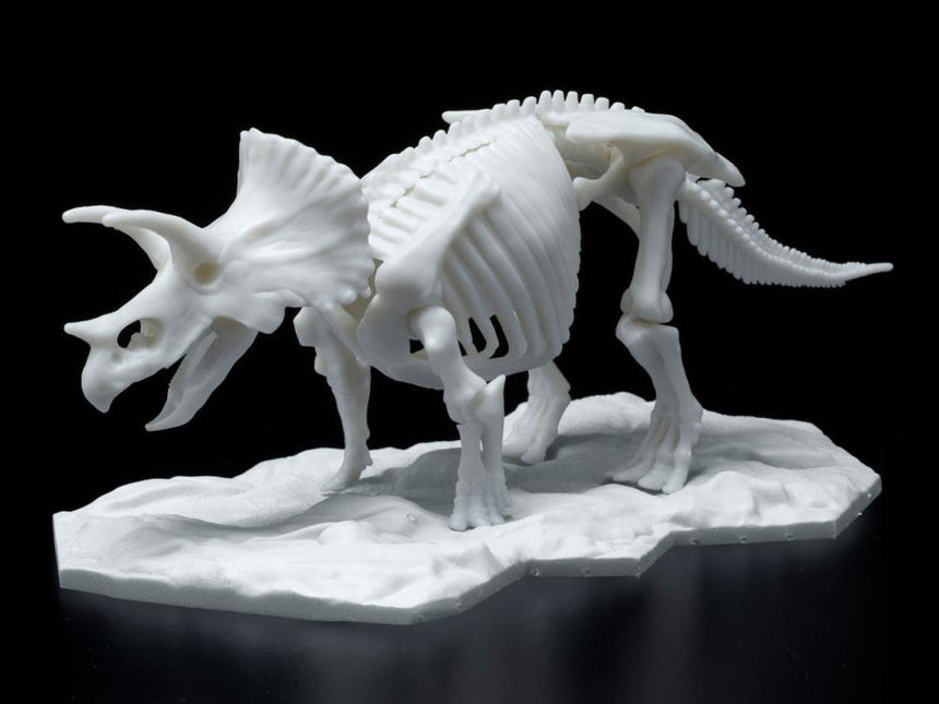 Dinosaur Model Kit Limex Skeleton Triceratops-1