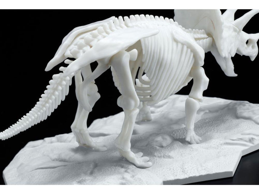 Dinosaur Model Kit Limex Skeleton Triceratops-3